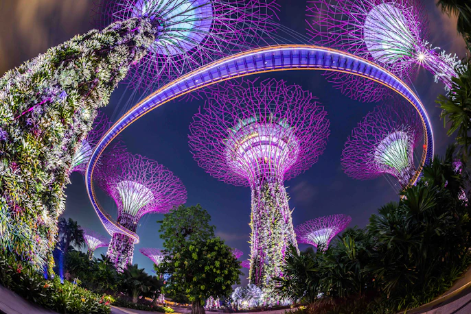 Gardens By The Bay Light Show Tips Timings More Gardens By The Bay Light Show Tips Timings More